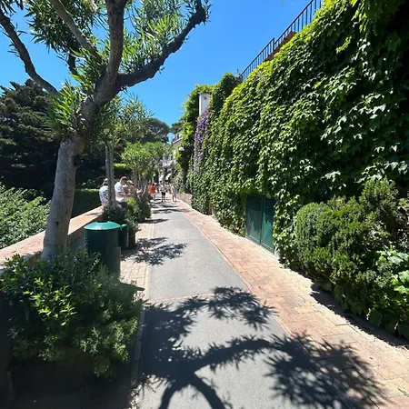 Center Augusto Park דירה קאפרי