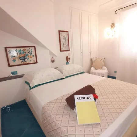 Center Augusto Park *