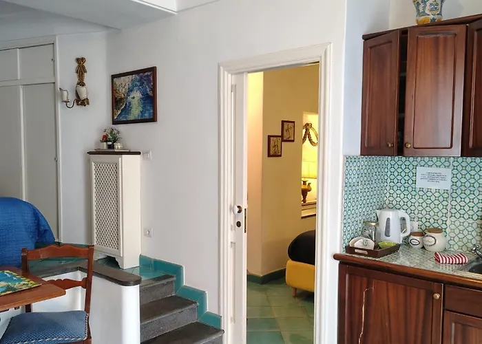 Center Augusto Park *